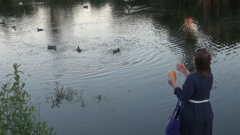 УГСПЛ звертається до мера Києва Віталія Кличка щодо озера Качиного